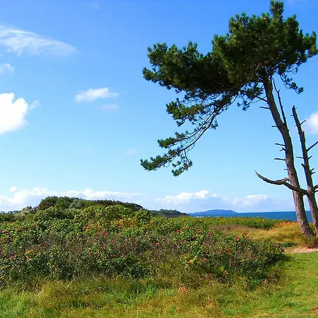 Apartmán Feriendorf Am Bakenberg