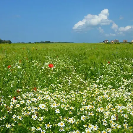 Appartement Am Bakenberg *