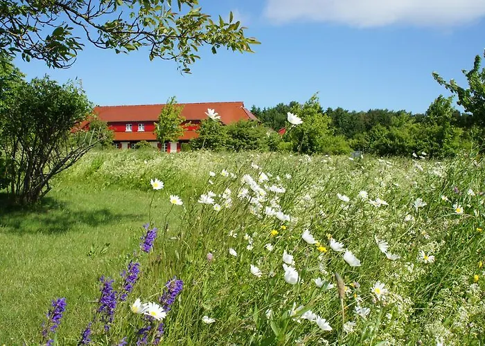 Am Bakenberg Dranske